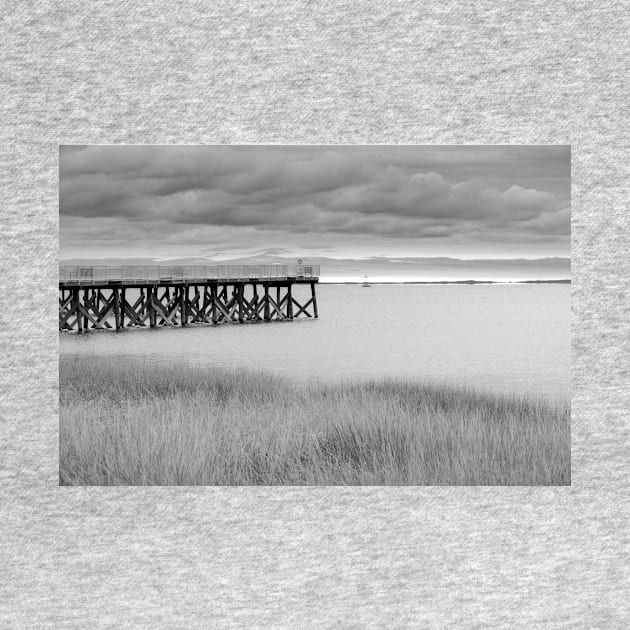 Jetty on Calf Pasture Beach Connecticut under overcast sky in moody monochrome  Wonderful for an art print on  your wall, or even a t-shirt. by brians101